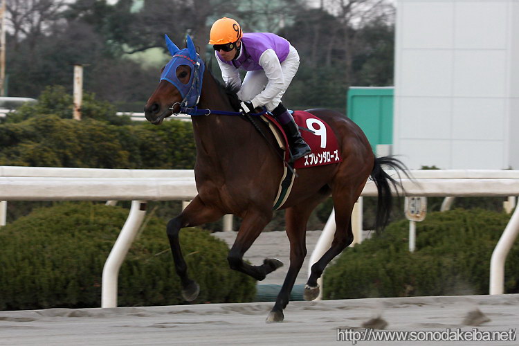 ���c�N�C�[���Z���N�V����