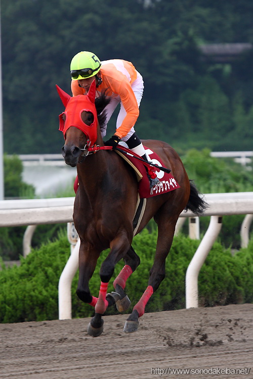 �T�}�[�N�C�[����