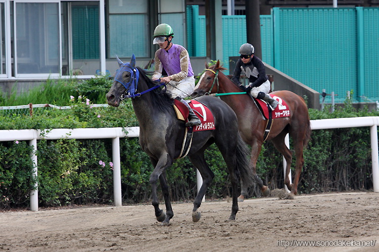 �T�}�[�N�C�[����