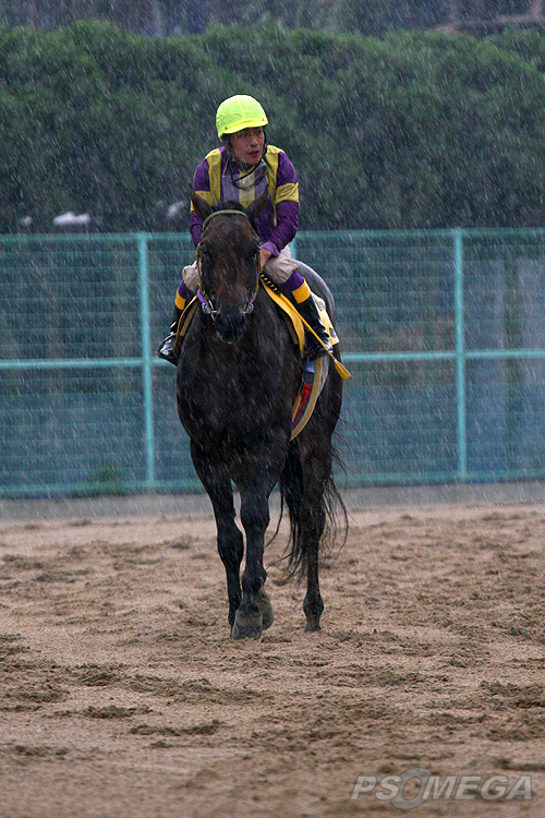 ���[�X���I����