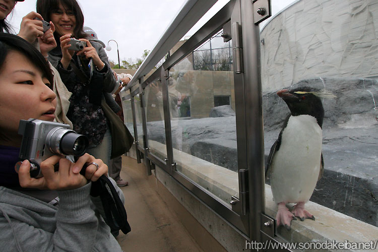 ���R������