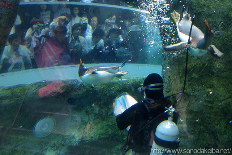 ���R������