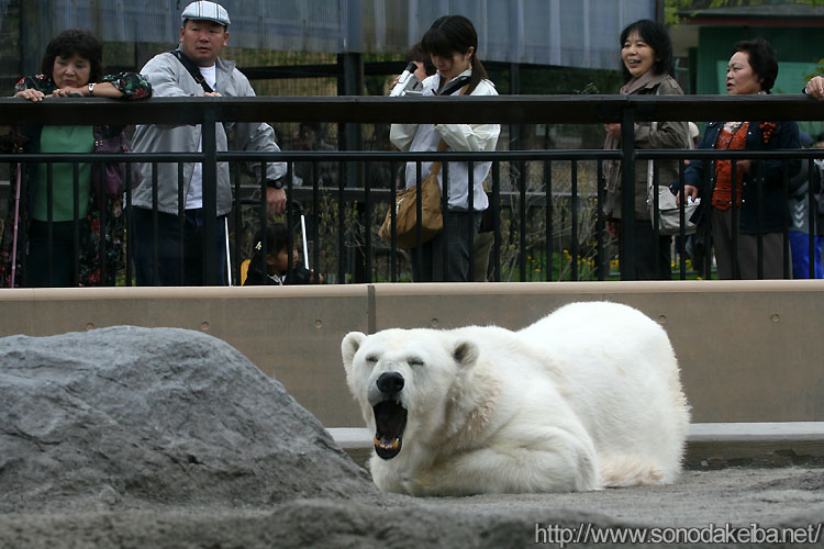 ���R������