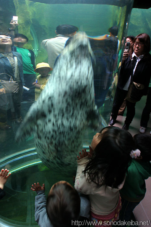 ���R������