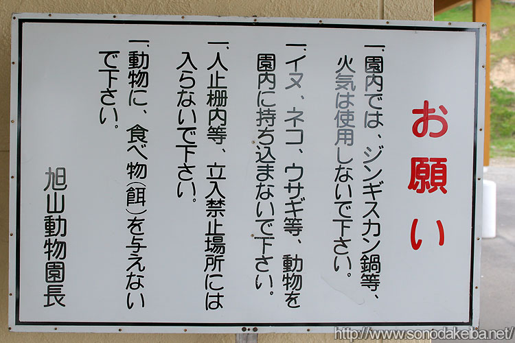 ���R������