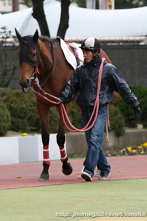 �G���U�x�X�N�B�[��