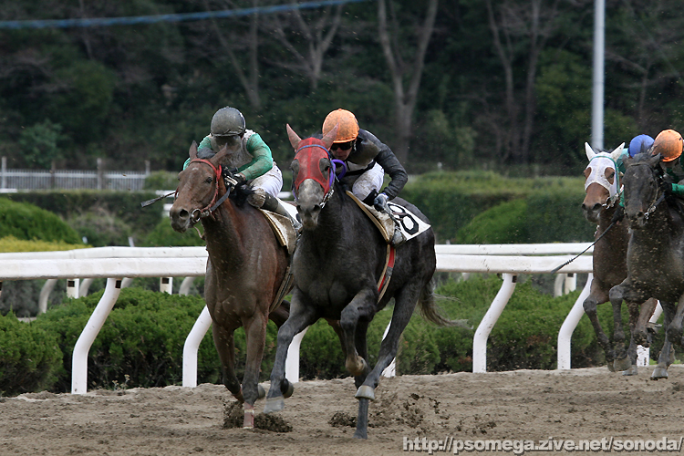 �G���U�x�X�N�B�[��