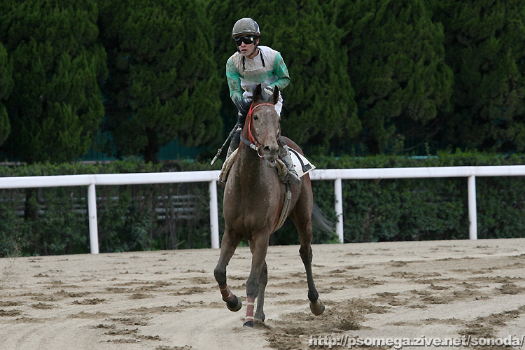 �G���U�x�X�N�B�[��