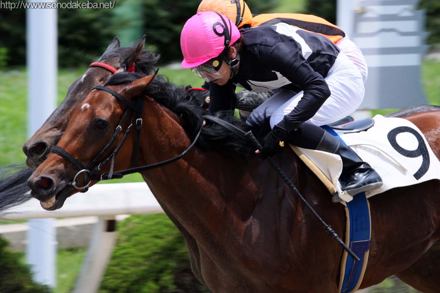 �G���U�x�X�N�B�[��