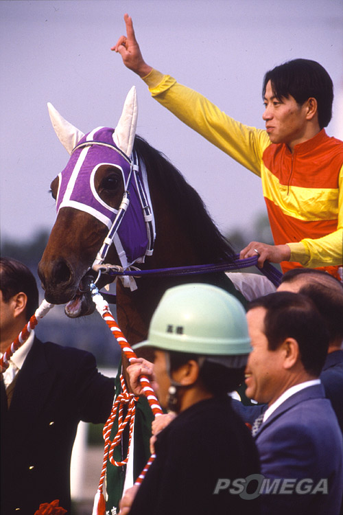 �}�[�L�����T���_�[