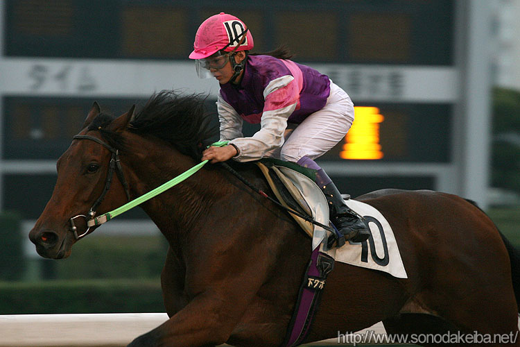 �{�����R��500��