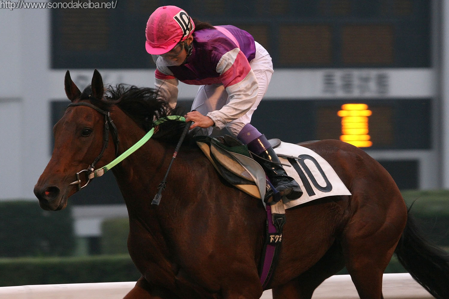 �{�����R��500��