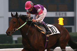 宮下瞳騎手500勝