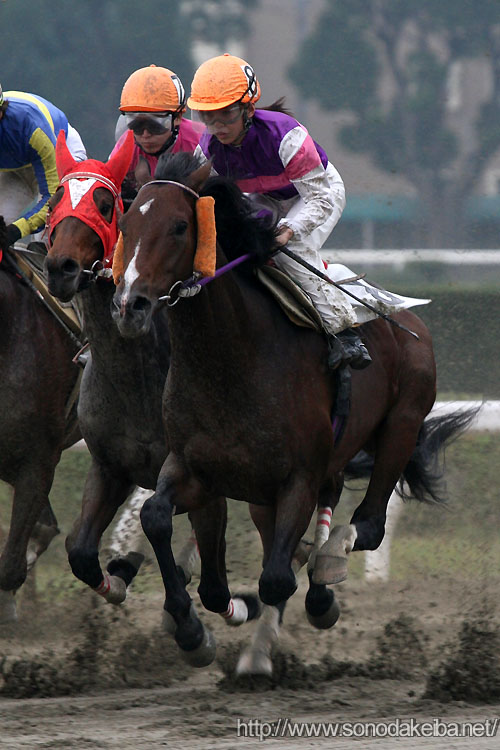 �{�����R��500��