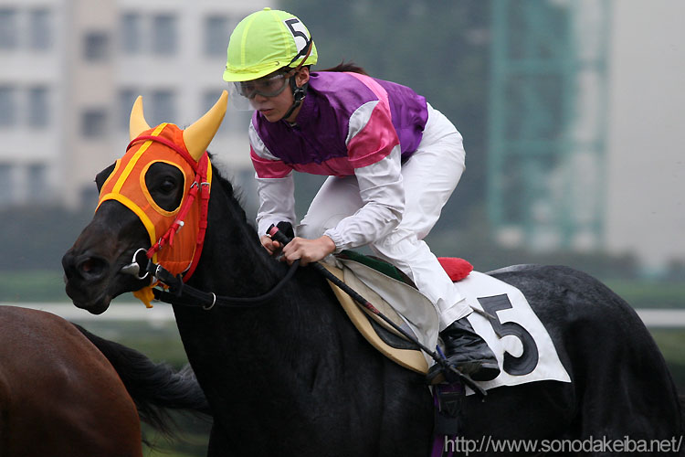 �{�����R��500��