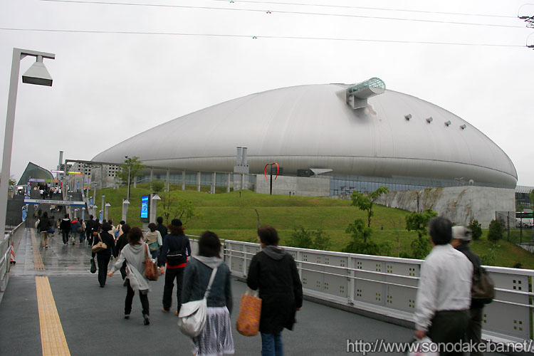 �D�y�h�[��