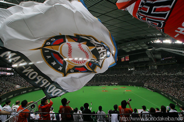 �D�y�h�[��