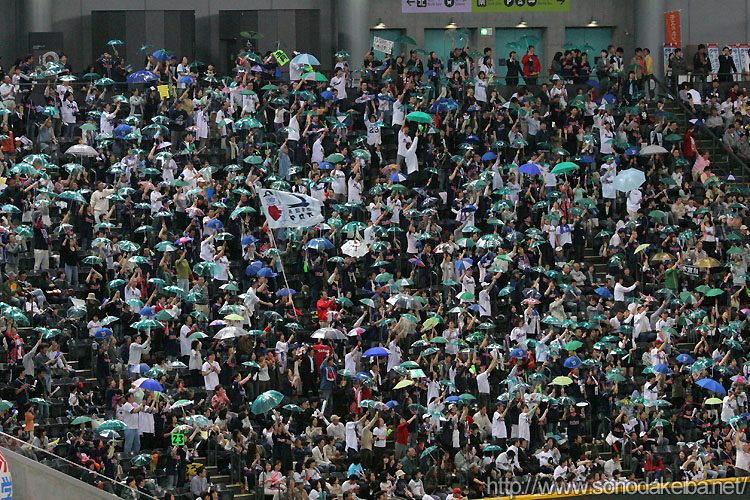 �D�y�h�[��