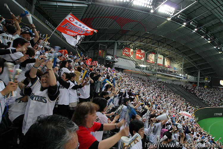 �D�y�h�[��