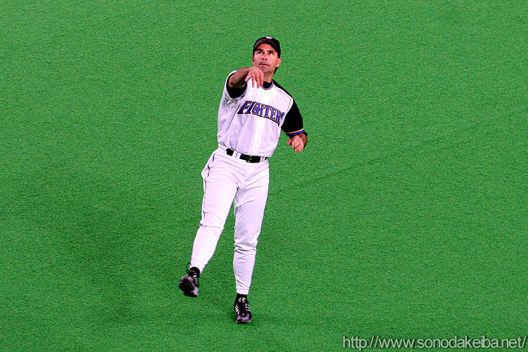 �D�y�h�[��