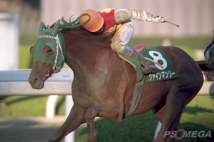 �V���C���}�����[