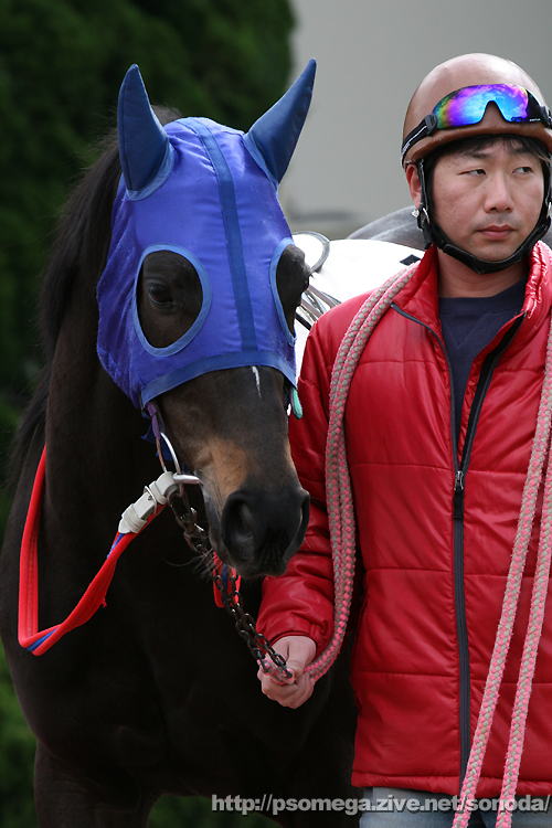 �V���b�t��